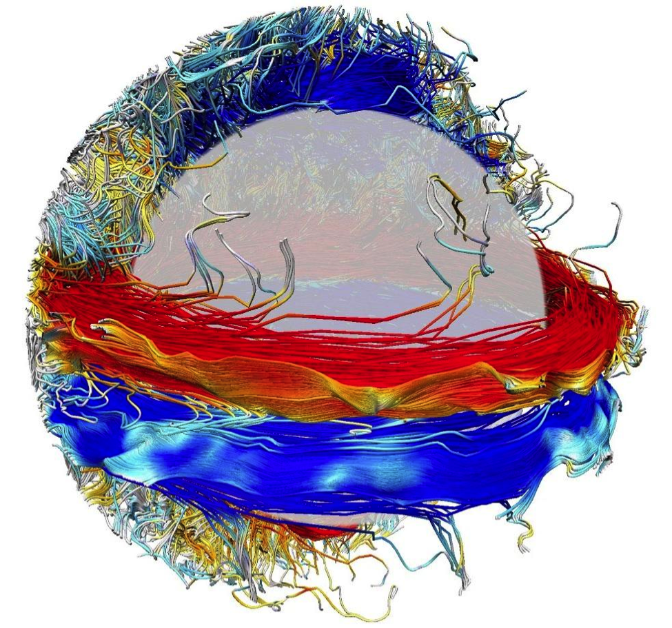 Les lignes de champ magnétique à l’intérieur d’une simulation en trois dimensions de la dynamique solaire, calculée avec le code ASH (d’après Augustson et coll., ApJ, 2015).